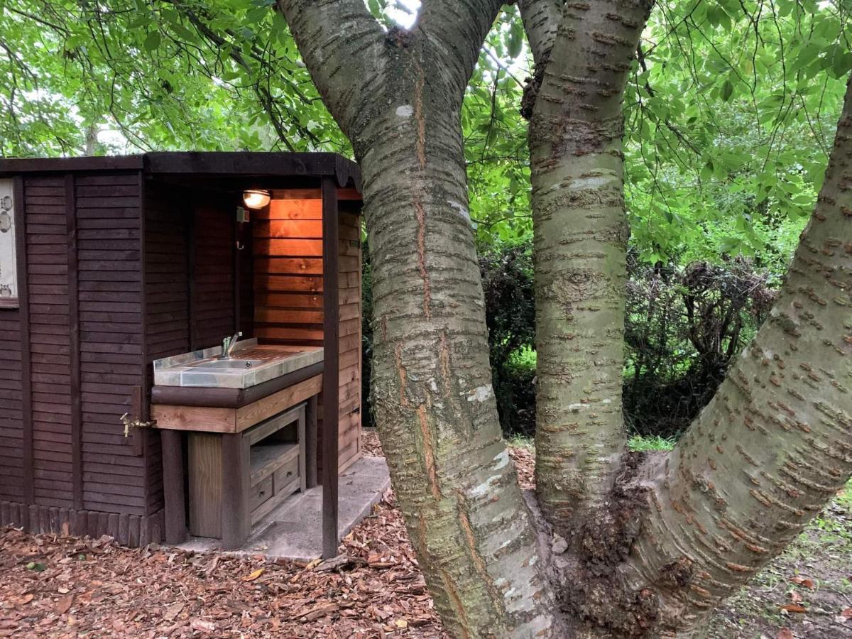 Starry Meadow & Rescued Animal Experiences Villa Great Yarmouth Exterior photo