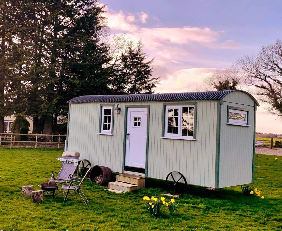 Starry Meadow & Rescued Animal Experiences Villa Great Yarmouth Exterior photo