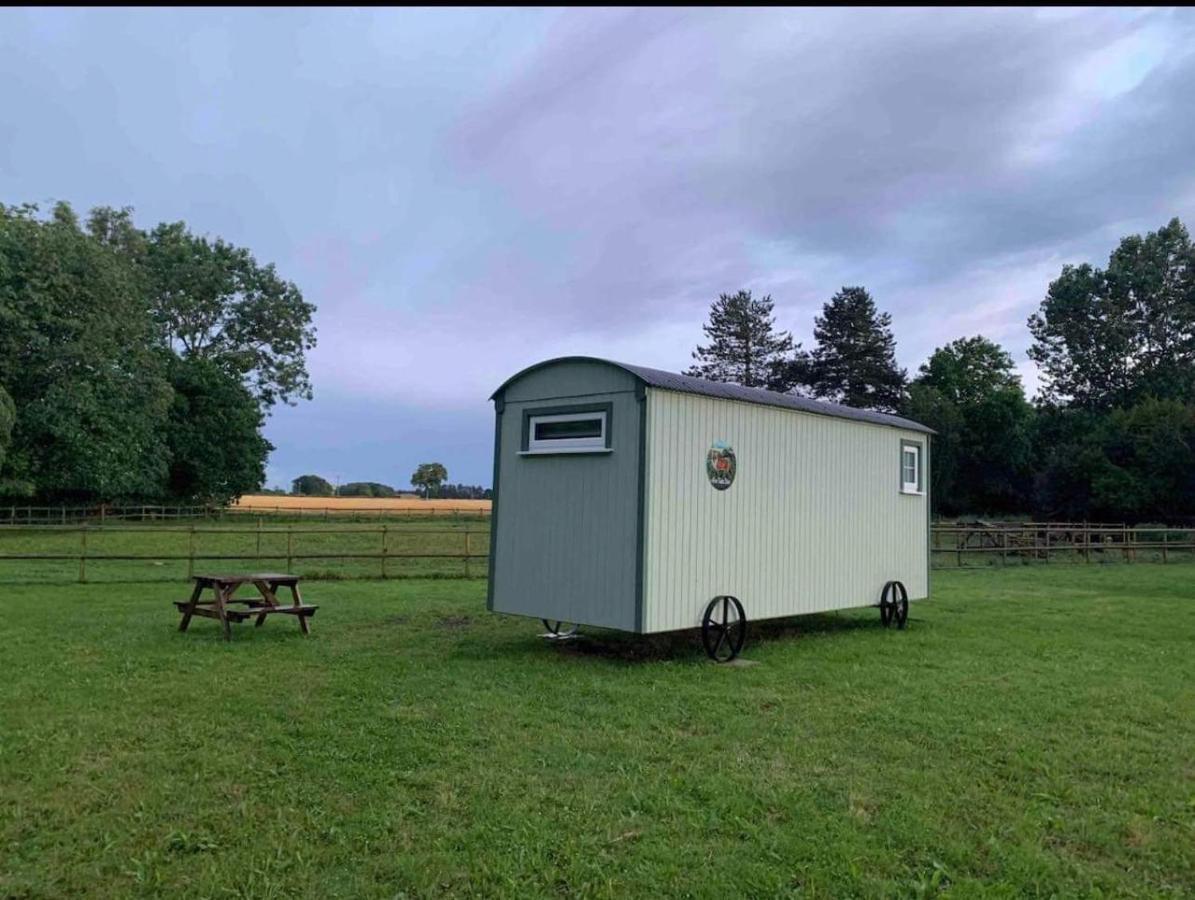 Starry Meadow & Rescued Animal Experiences Villa Great Yarmouth Exterior photo